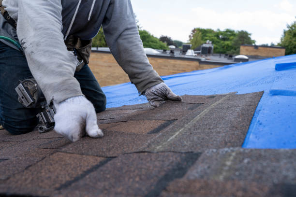 Best Roof Replacement Cost  in Harrington Park, NJ